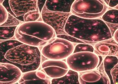 DALL·E_2023 08 09_11.00.15